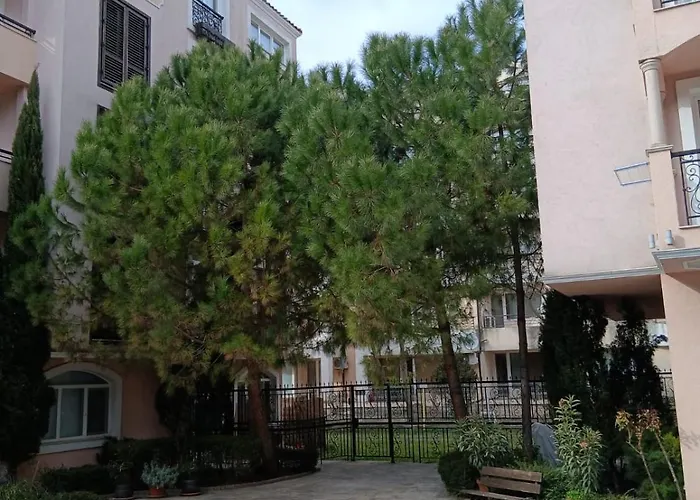 Cacao Romance * Sunny Beach